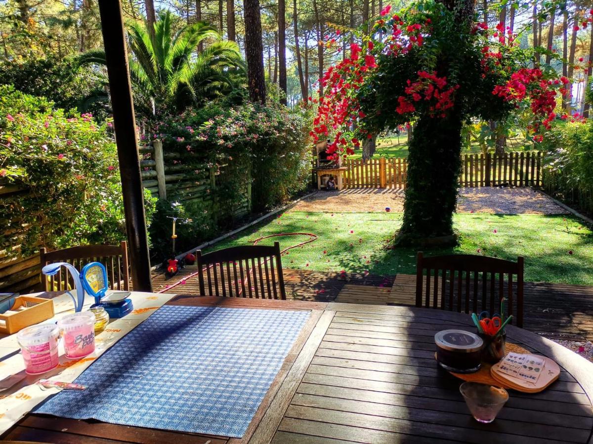 Dolphin Aroeira Beach Villa 沙尔内卡 外观 照片